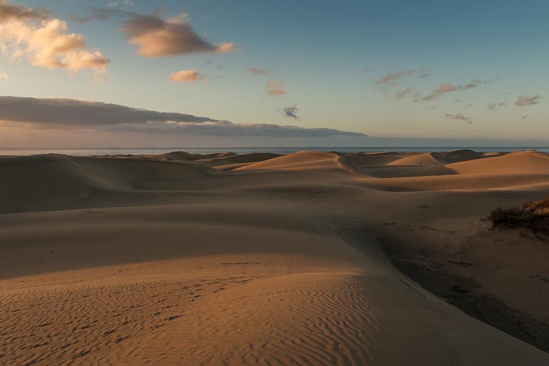 Sistema dunar de Maspalomas